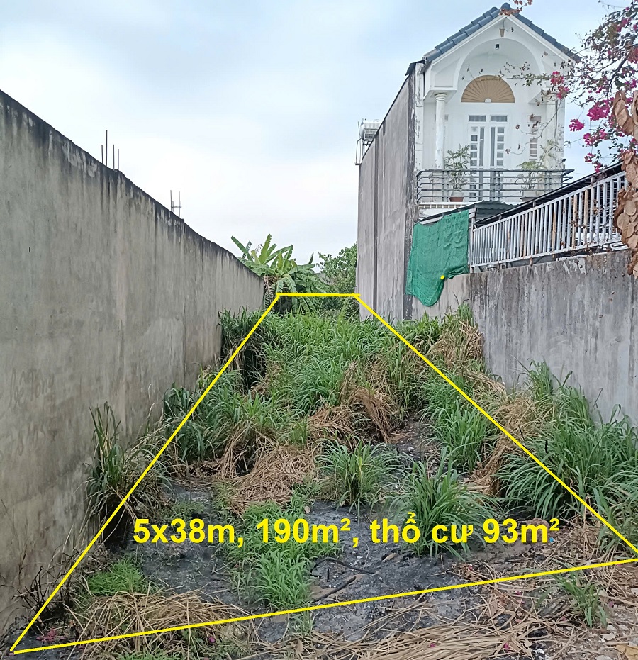 Hình chụp lô đất kênh Nhà Vuông xã Bình Mỹ chào bán