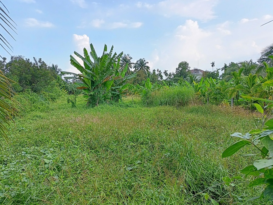 Lô đất xã Bình Mỹ Củ Chi vuông vức, xung quanh đã xây trụ kéo rào lưới B40 giữ đất