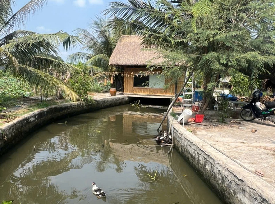 Hình ảnh chụp nhà vườn MT đường kênh Đá Hàn xã Bình Mỹ, Củ Chi
