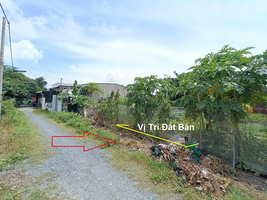 Hình chụp lô đất xã Bình Mỹ chào bán, đất vuông vức, nền cao, xung quanh dân cư hiện hữu không lỗi phong thuỷ