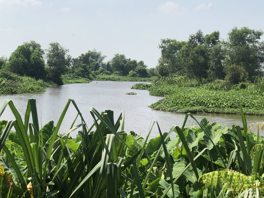 Lô đất vườn xã Tân Thạnh Đông view kênh lớn, nước trong xanh mát mẻ