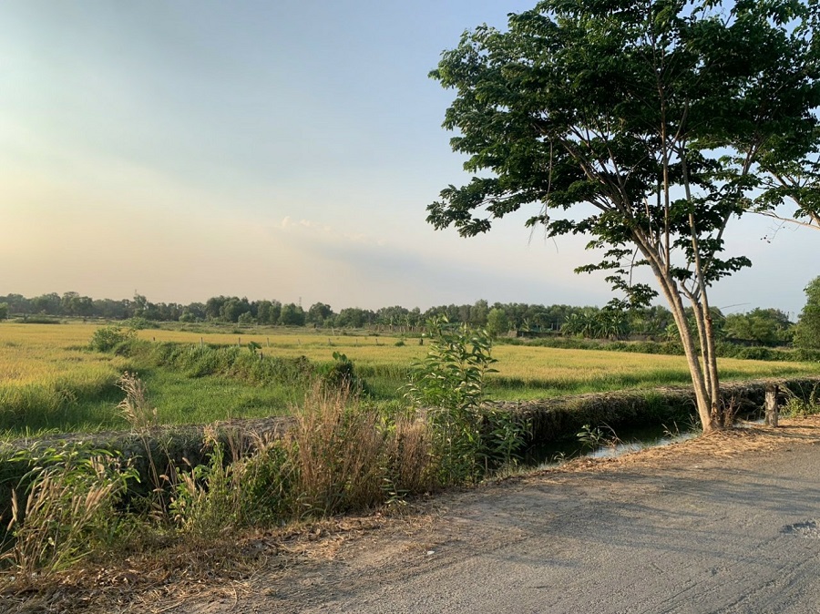 Lô đất vườn xã Tân Thạnh Tây