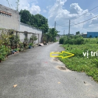Bán Đất Mặt Tiền Đường Nhựa Xã Hòa Phú, Củ Chi – Diện Tích 170m², Thổ Cư 164m², Xây Dựng Tự Do