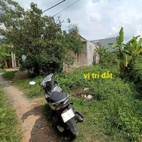 Bán Đất Thổ Cư Mặt Tiền Đường Kênh Bình Thuận, Bình Mỹ Củ Chi – Gần Sông Sài Gòn