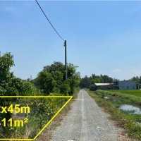 Bán Đất Vườn Xã Tân Phú Trung, Củ Chi - View Kênh Mát Mẻ, Xe Tải Vào Tận Nơi