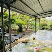 Bán Nhà Vườn Củ Chi 1.922m² Có Sẵn Nhà, Ao Cá, Vườn Cây Ăn Trái - Xã Phước Thạnh Cũ