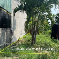 Bán Đất Thổ Cư Xã Tân Thạnh Đông Củ Chi – 284m² Sổ Riêng, Gần Tỉnh lộ 15