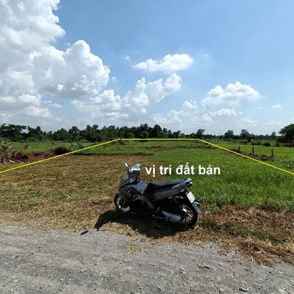 Bán Đất Củ Chi Mặt Tiền Kênh Đá Hàn - Vị Trí Đẹp, Giá Tốt, Tiềm Năng Tăng Giá Cao