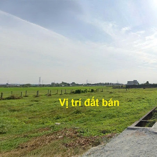 Bán Đất Củ Chi Đường 64 Xã Tân Phú Trung - 3395m² - Giá chỉ 5.6 triệu/m² - Gần Vành Đai 3