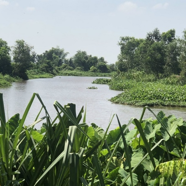 Đất vườn xã Tân Thạnh Đông Củ Chi, view đẹp mặt tiền kênh lớn, đường ôtô tới đất