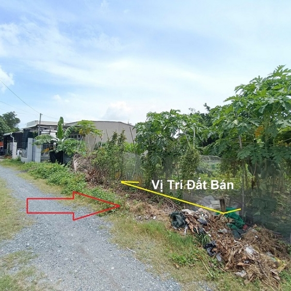 Bán Đất Xã Bình Mỹ Củ Chi, Gần KCN Cơ Khí Ô Tô, 150m² (5x30m), Thổ Cư 149m², Giá chỉ 2,4 Tỷ