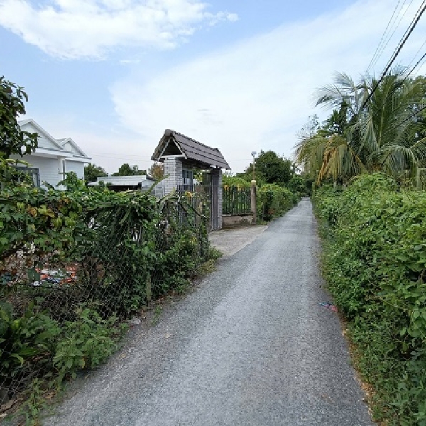 Đất thổ vườn xã Bình Mỹ Củ Chi, MT đường 286 cách Tỉnh lộ 9 chỉ 100m