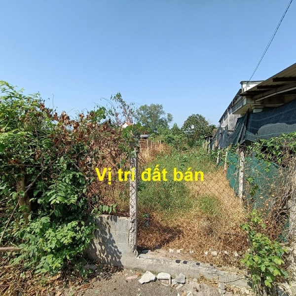 Bán đất mặt tiền đường Lý Thị Xâm, trung tâm xã Tân Thạnh Đông Củ Chi - 226m²