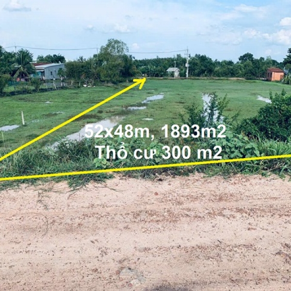 Bán đất thổ vườn xã Trung Lập Hạ Củ Chi, mặt tiền kênh N31A thích hợp xây nhà vườn